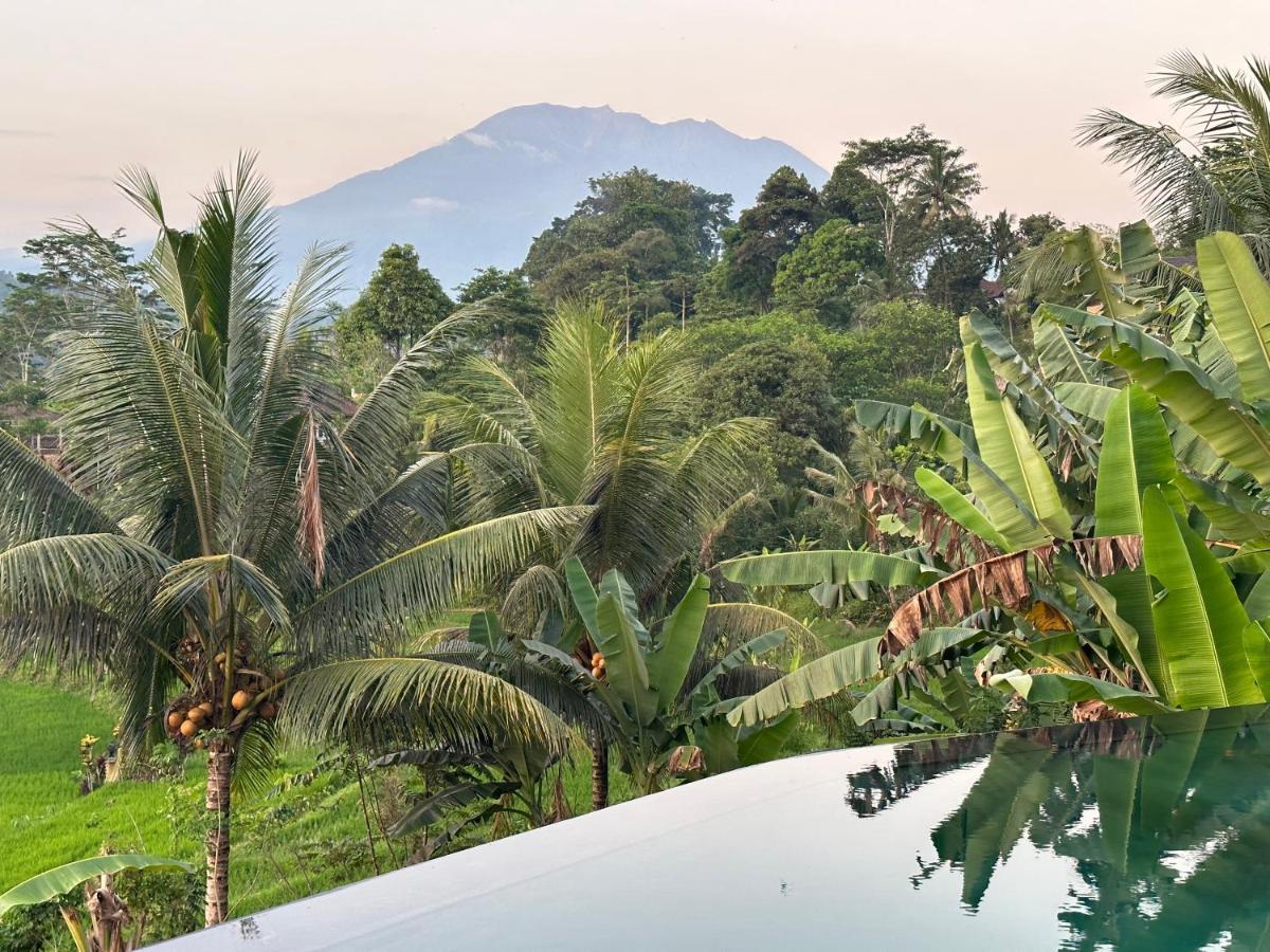 Nana Suites Villa Sidemen  Esterno foto